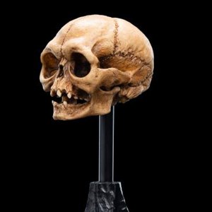 Skull Of Gollum Mini
