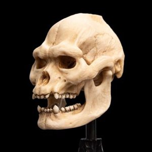 Skull Of Lurtz Mini