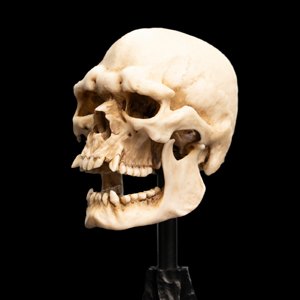 Skull Of Mordor Orc