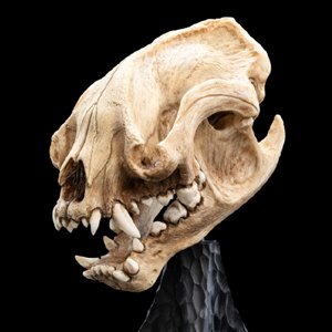 Skull Of Warg