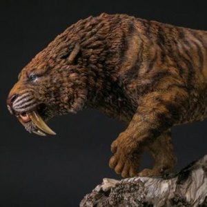 Smilodon Fatalis Dry Gobi Desert