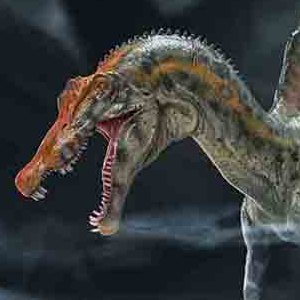 Spinosaurus Wonders Of Wild Series