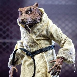 Splinter