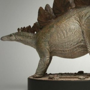 Stegosaurus