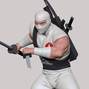 Storm Shadow