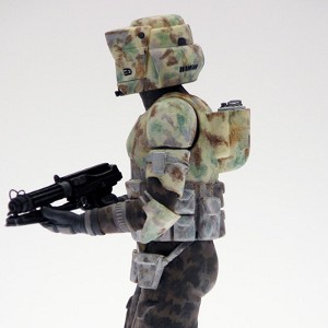 41st Elite Corps - Kashyyyk Trooper (studio)