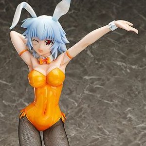 Tatenashi Sarashiki Bunny