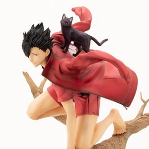 Tetsuro Kuroo