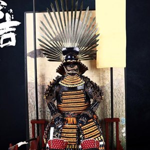 Toyotomi Hideyoshi Magnum Opus