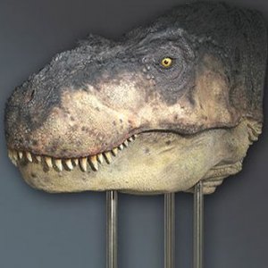 T-Rex Head Closed Mouth