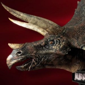 Triceratops