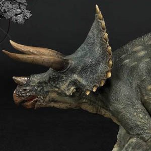 Triceratops