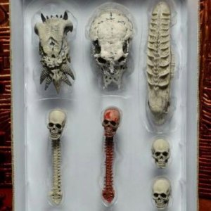 Trophy Wall Skull Pack