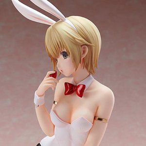 Tsukasa Nishino Bunny