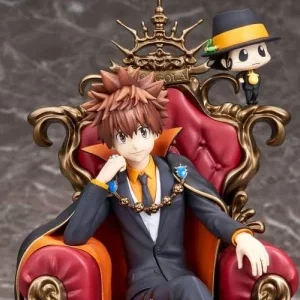 Tsunayoshi Sawada & Reborn