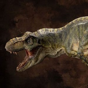 Tyrannosaurus Buck