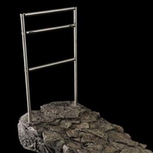 Tyrannosaurus Rex Display Stand