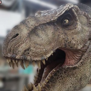 Tyrannosaurus Rex Head