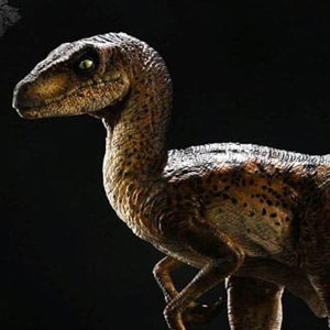 Velociraptor Closed Mouth