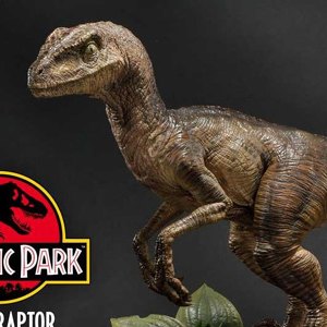 Velociraptor Closed Mouth (Prime 1 Studio)