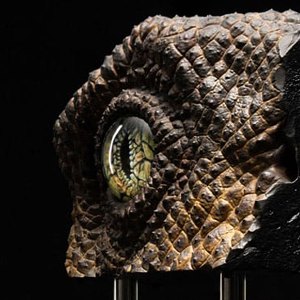 Velociraptor Eye Screen-Used SWS