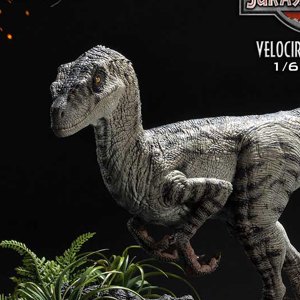 Velociraptor Female