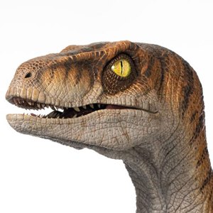 Velociraptor Male
