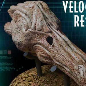 Velociraptor Male Bonus Edition