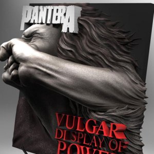 Vulgar Display Of Power 3D Vinyl
