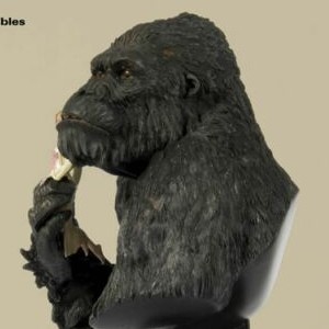 Kong With Ann (studio)