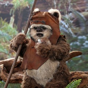 Wicket (Return Of The Jedi)