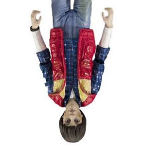 Will Byers Upside Down