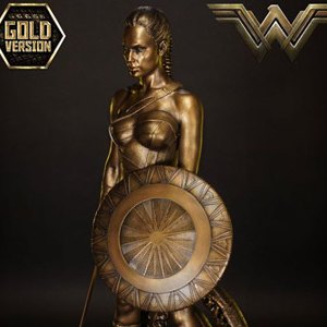 Wonder Woman Training Costume Gold