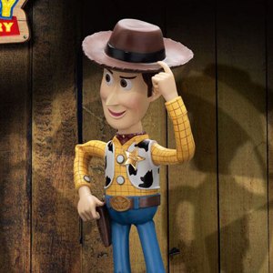 Woody Master Craft