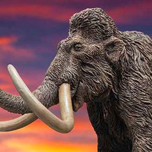 Woolly Mammoth 2.0 Wonders Of Wild Series