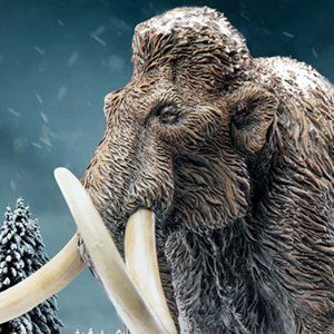 Woolly Mammoth Wonders Of Wild Series