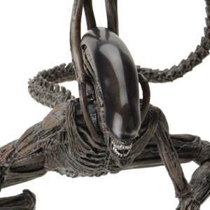 Xenomorph