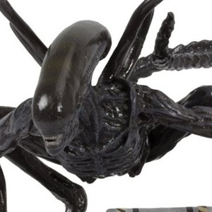 Xenomorph