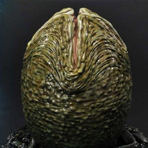 Xenomorph Egg Close Version