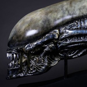 Xenomorph Head