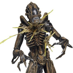 Xenomorph Warrior Brown Battle Damaged