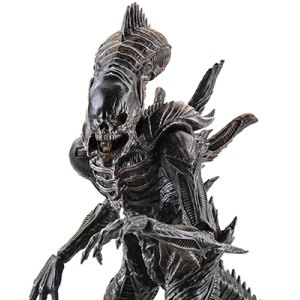 Xenomorph Raven (Previews)