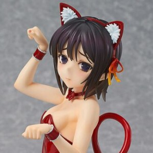 Yozora Mikaduki Cat Costume (studio)