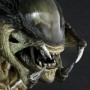 Predalien (studio)