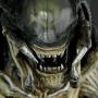 Predalien (studio)