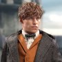 Newt Scamander