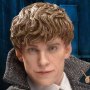 Newt Scamander