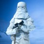 Star Wars: Snowtrooper