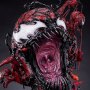 Maximum Carnage