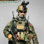 U.S. Army Special Forces (CJSOTF-A)